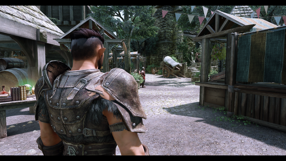 Enderal SE Armor Clipping with SAM Light Body. The Elder Scrolls V