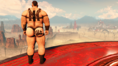 Vacations in Nuka World in this hot summer