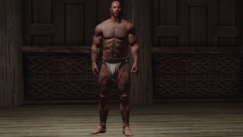 VLSIMU: Vanilla-Like Schlong Interactive Male Underwear for SAM - The Elder  Scrolls V: Skyrim - VectorPlexus