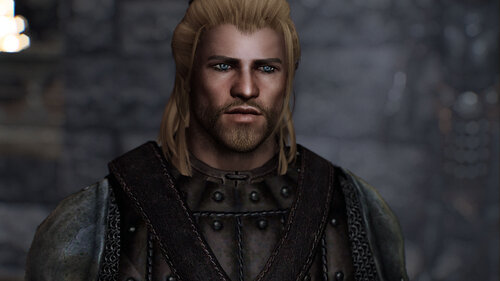 Pride of Skyrim - AIO Male NPC Overhaul High Poly Head - The Elder ...